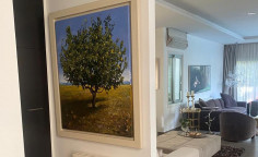 3 bedroom house to rent in Ayioi Trimithias