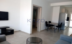 Fully furnished two bedroom apartment in Omonoia 