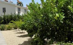 Amazing three bedroom villa for rent in Pyrgos area 