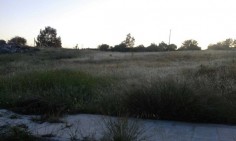 Plot in Choletria , Paphos