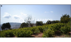 3 bedroom detached villa for sale in Kathikas, Paphos 