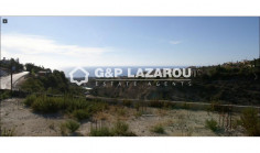 3 bed villa with swimming pool for sale in Tala