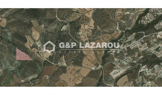 Agricultural land for sale in Tala, Paphos 