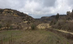 (agricultural) in Tsada, Paphos for sale , Paphos