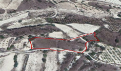 (agricultural) in Letymbou, Paphos for sale , Paphos