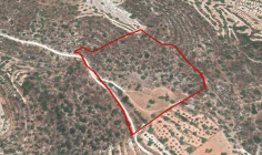 (agricultural) in Apesia, Limassol for sale , Limassol