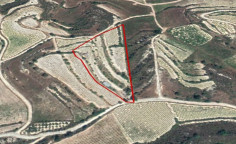 (agricultural) in Pachna, Limassol for sale , Limassol