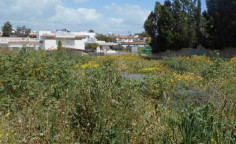 Residential 822 m2 for sale in Sotiros, Larnaca