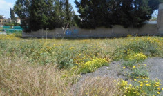 Residential 822 m2 for sale in Sotiros, Larnaca