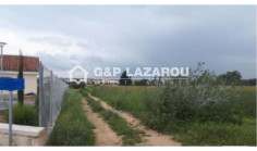 Spacious residential for sale in Mazotos, Larnaca