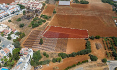 Residential 2983 m2 for sale in Paralimni, Famagusta
