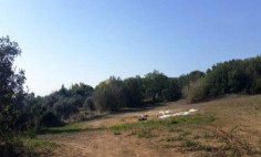 Residential 10703 m2 for sale in Polemi, Paphos
