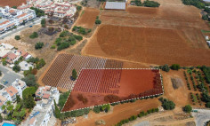 Residential 3810 m2 for sale in Paralimni, Famagusta