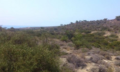 Land 7359 m2 for sale in Pissouri, Limassol