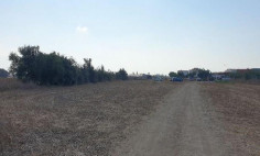 Residential 4900 m2 for sale in Kiti, Larnaca