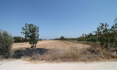 Residential 4900 m2 for sale in Kiti, Larnaca