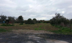 Residential 2695 m2 for sale in Kolossi, Limassol