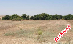 Residential 6021 m2 for sale in Tersefanou, Larnaca