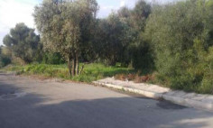 Residential 2997 m2 for sale in Oroklini, Larnaca