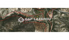 Agricultural 16389 m2 for sale in Palodia