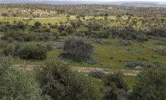 Residential 32107 m2 for sale in Pissouri, Limassol
