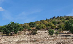 (residential) in Koili, Paphos for sale , Paphos