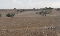 Residential 7832 m2 for sale in Dali, Nicosia