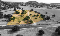 Residential for sale in Avdimou, Limassol