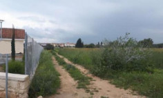 Residential 6690 m2 for sale in Mazotos, Larnaca