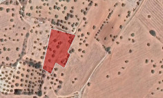 Residential 6690 m2 for sale in Mazotos, Larnaca