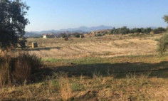 Large residential for sale in Analiontas, Nicosia