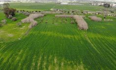Residential 5426 m2 for sale in Aradippou, Larnaca