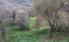 Beautiful residential for sale in Giolou, Paphos