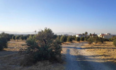 Commercial for sale in Latsia Commercial for sale in Latsia