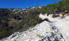 Beautiful residential 2342 m2 for sale in Peyia, Paphos