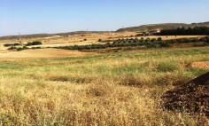 Residential 4633 m2 for sale in Geri, Nicosia