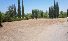 Spacious residential for sale in Kornos, Larnaca