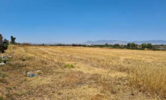 Beautiful residential for sale in Palaiometocho, Nicosia