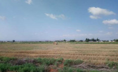 Spacious residential for sale in Astromeritis, Nicosia