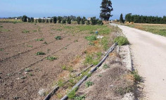 Residential 3454 m2 for sale in Perivolia, Larnaca