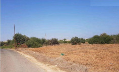 Residential 2310 m2 for sale in Paralimni, Famagusta