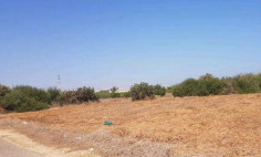 Residential 2310 m2 for sale in Paralimni, Famagusta