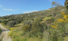 For sale, land, Limassol, Asgata, 8,362m&sup2;, &euro;110,000 , Limassol