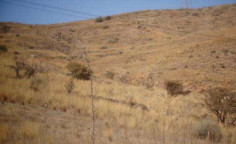 For sale, land, Paphos, Marathounta, 2,342m&sup2;, &euro;3,000 