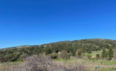 For sale, land, Paphos, Peristerona, 16,723m&sup2;, &euro;50,000 