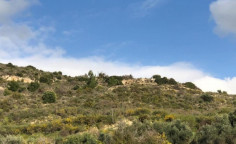 For sale, land, Paphos, Peristerona, 16,723m&sup2;, &euro;50,000 