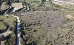 For sale, land, Paphos, Prastio, 11,037m², €11,000 For sale, land, Paphos, Prastio, 11,037m², €11,000