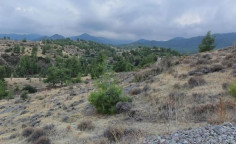 For sale, land, Nicosia, vyzakia, 16,389m&sup2;, &euro;22,000 