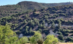 For sale, land, field, Limassol, monagri, 27,760m&sup2;, &euro;49,000 