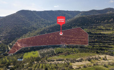 For sale, land, field, Limassol, monagri, 27,760m&sup2;, &euro;49,000 